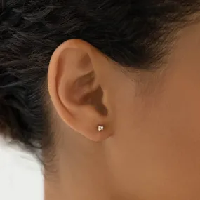 Diamond Cluster Earrings 14k Gold - Catina