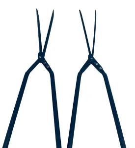 Facial Hair Tongs