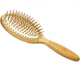 Oval hair brush