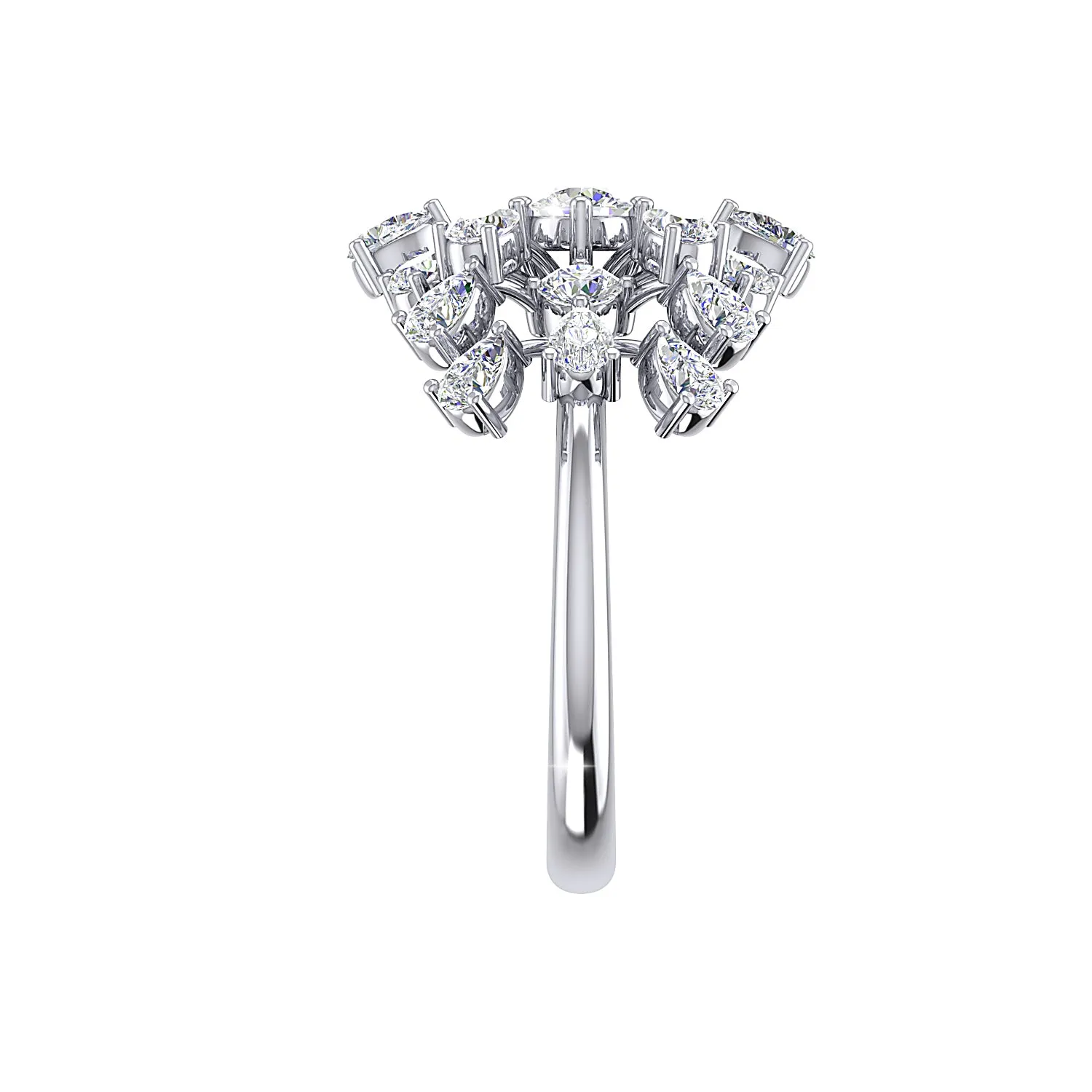 THE CORRAL CLUSTER RING
